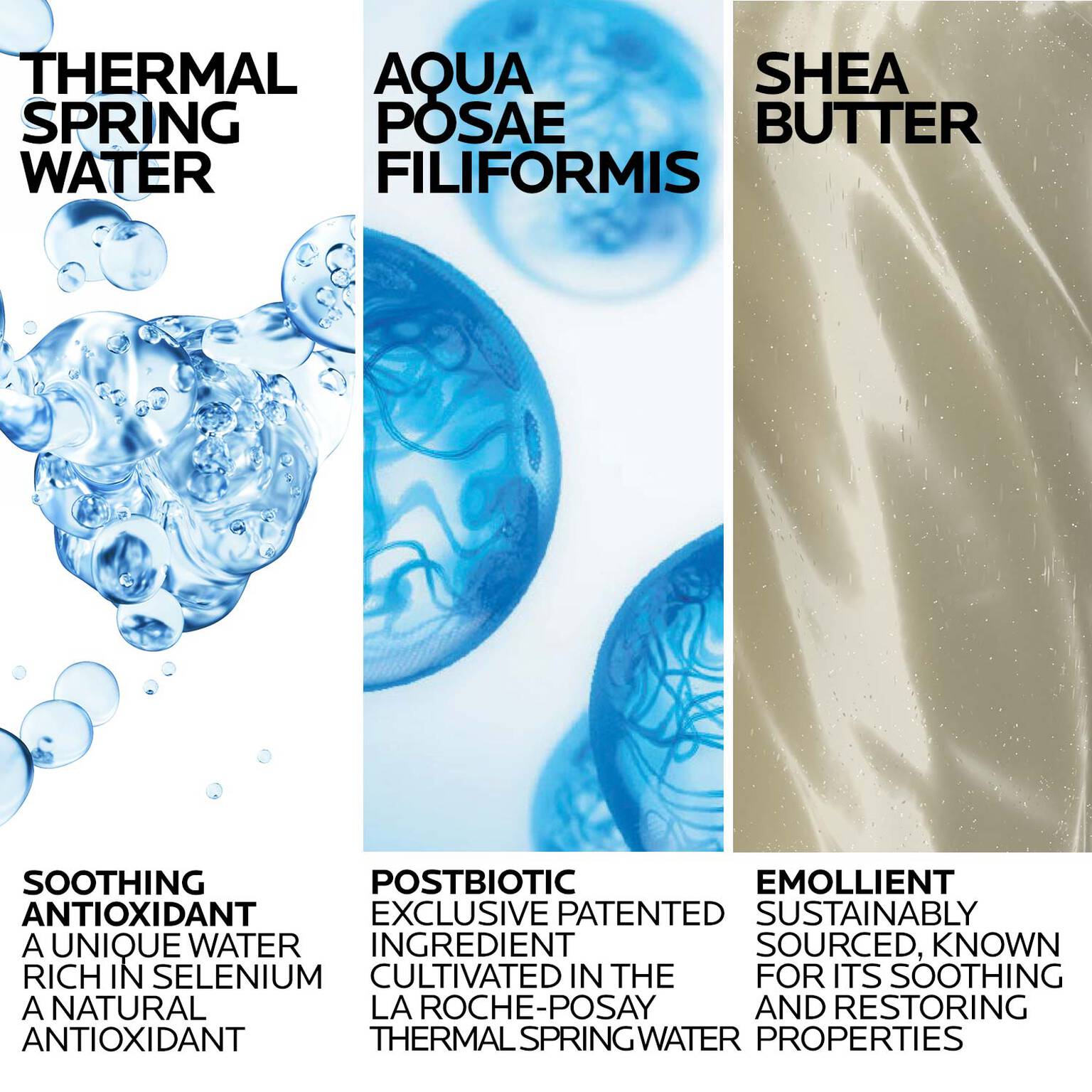 lipikar-wash-ap-moisturizing-body-and-face-wash-t5 Lipikar-Wash-ingredients_1500x1500-REV.jpg